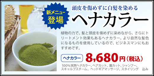 ヘナカラー始めました!