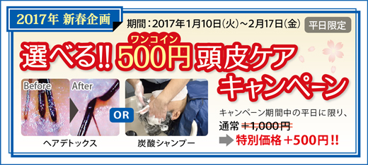 2017.01 選べる!500円(ワンコイン)頭皮ケア キャンペーン