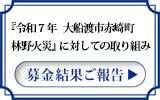 【レポート】「令和７年 大船渡市赤崎町林野火災」募金結果ご報告