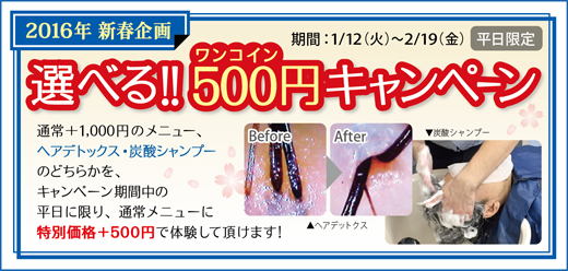 2016.01 選べる!500円(ワンコイン)キャンペーン